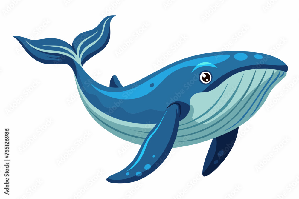 whale whale