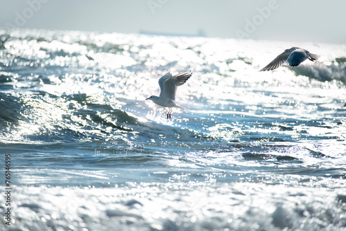 seagulls fly over the sea and sparkling waves in sunlight and bokeh