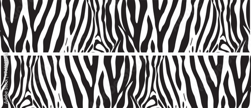 zebra stripes decorative background pattern vector illustration silhouette laser cutting black and white shape