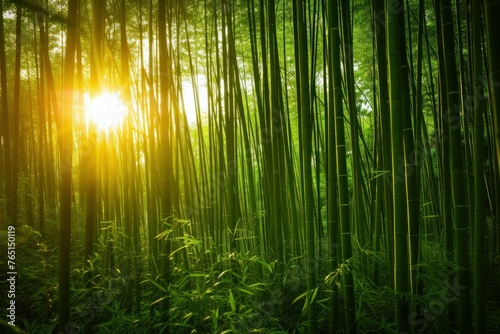 Tranquil Bamboo forest daylight. Plant place. Generate Ai