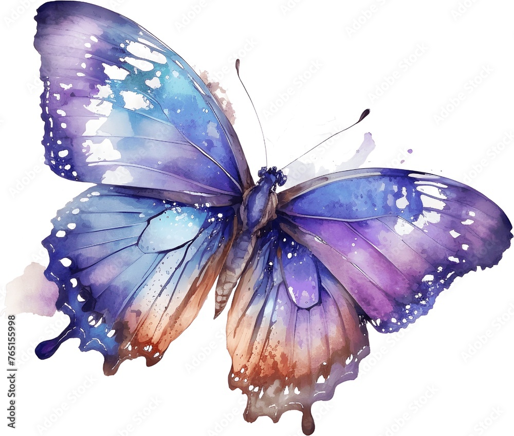Abstract multi-colored watercolor butterfly