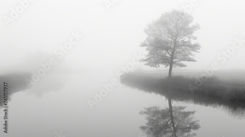 a black and white photo of a foggy river with a lone tree in the foreground and a field in the background.
