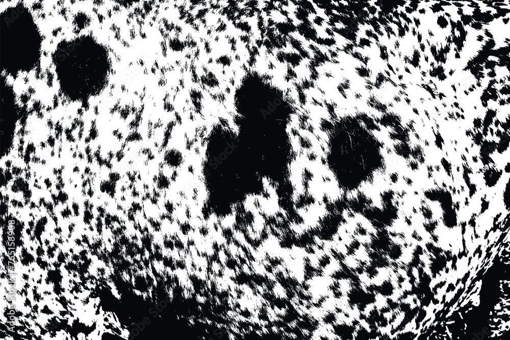 Grunge overlay abstract pattern with black and white spotted cowhide ...