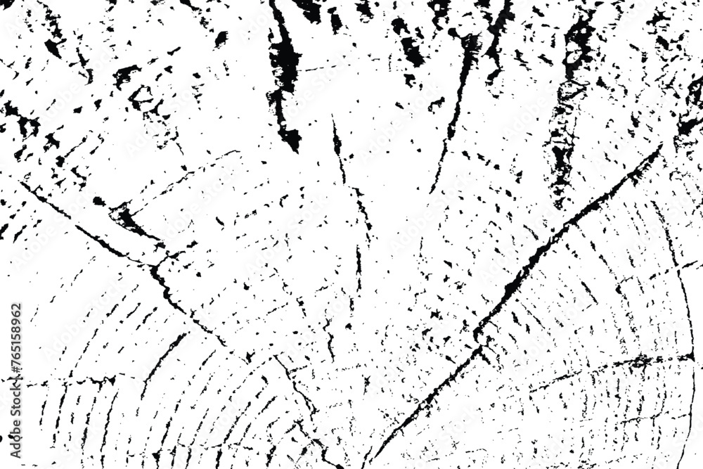 Vector tree rings overlay background in black white and saw cut tree trunk. Grunge nature background design elements. - obrazy, fototapety, plakaty 