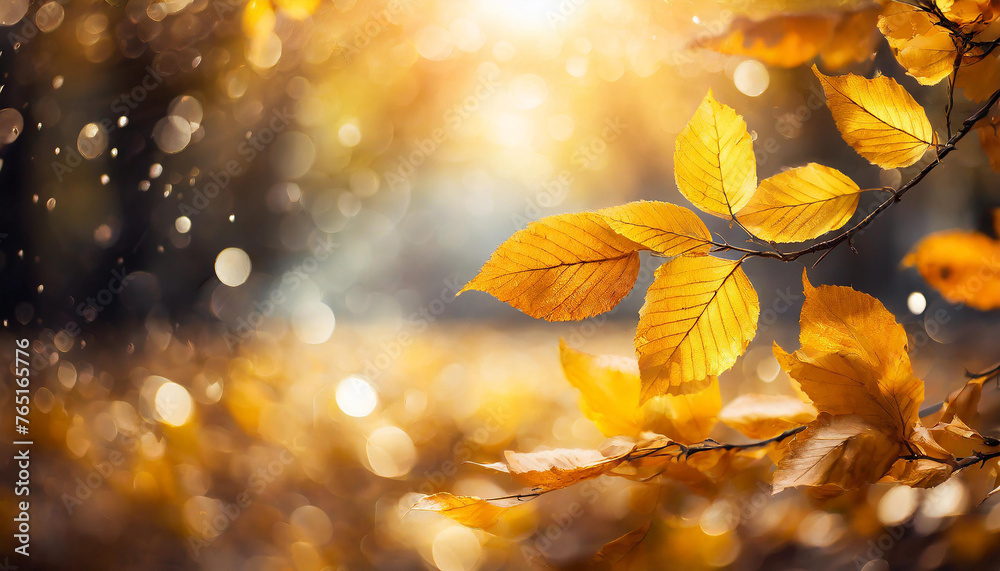 Autumn abstract background with bright yellow leaves and sunshine, bokeh and glow on backdrop. Autumn abstract background with bright yellow leaves and sunshine, bokeh and glow on backdrop.