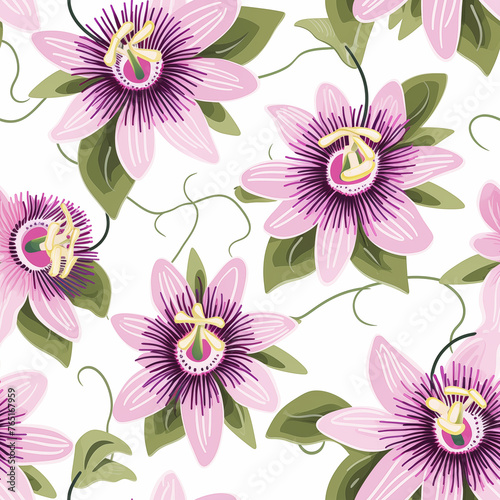 seamless and repeating floral pattern of lilikoi flowers and vines - passion flowers - purple and lavender with a white background