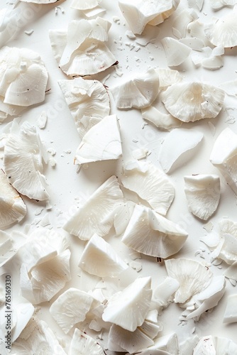 Close up of white shells, perfect for beach themed designs