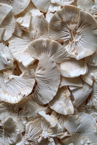 Detailed view of a bunch of mushrooms, suitable for food or nature concepts
