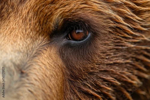 Wallpaper Mural Bear eye closeup. Forest animal. Generate Ai Torontodigital.ca