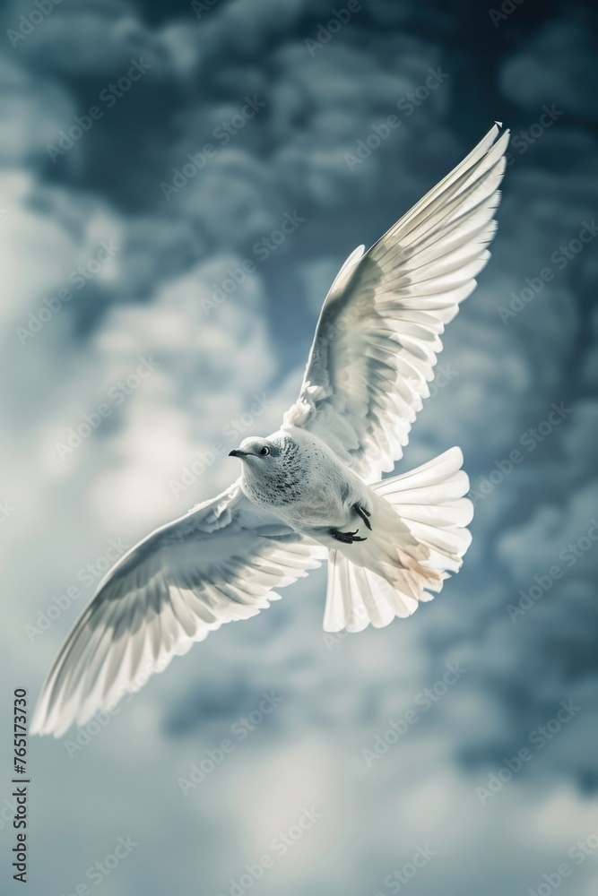 Obraz premium A serene image of a white bird soaring through a cloudy sky. Perfect for various nature and freedom concepts