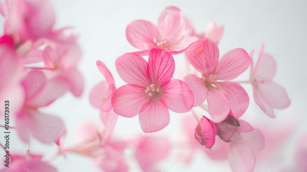 Close up shot of a bunch of pink flowers, perfect for nature backgrounds