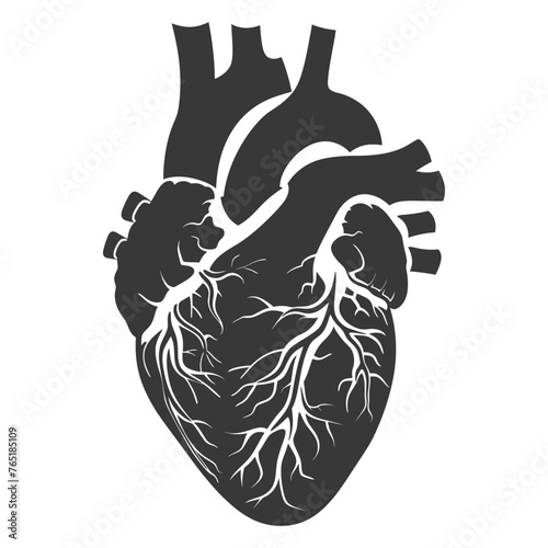 Silhouette for internal organs of heart black color only