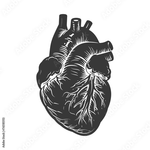 Silhouette for internal organs of heart black color only