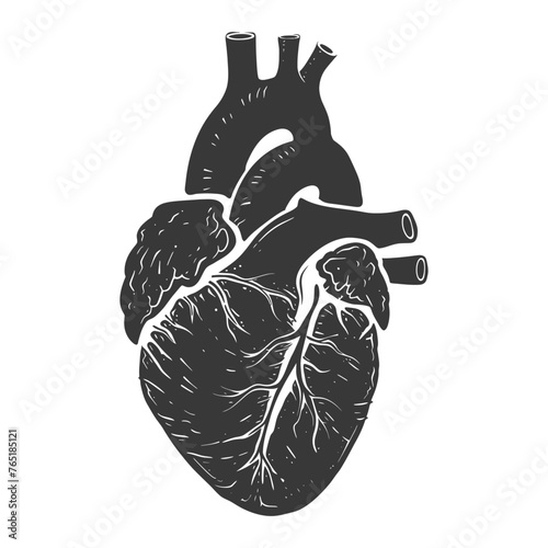 Silhouette for internal organs of heart black color only