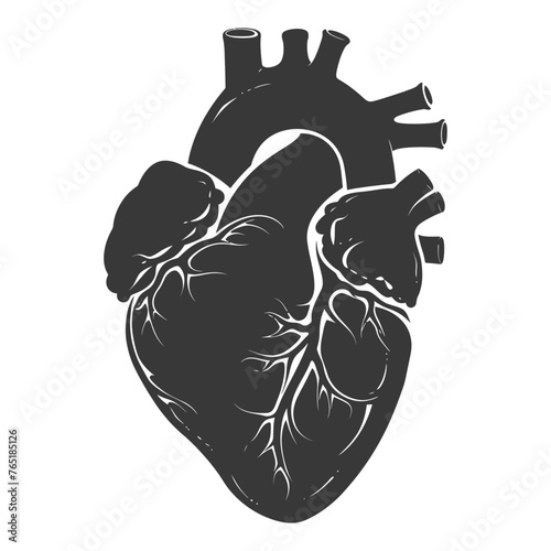 Silhouette for internal organs of heart black color only