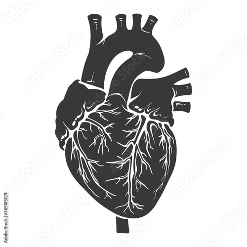 Silhouette for internal organs of heart black color only