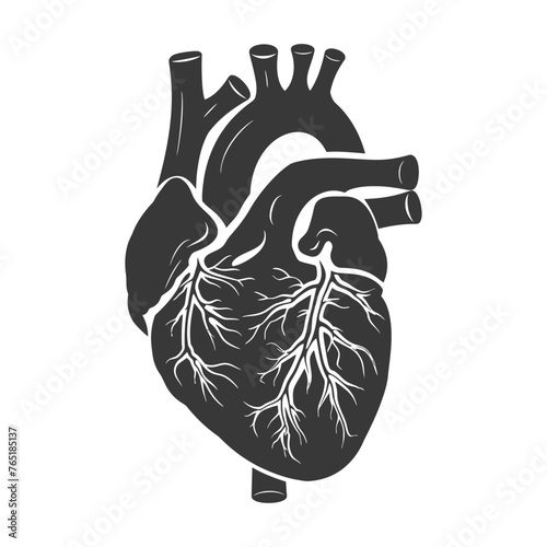 Silhouette for internal organs of heart black color only