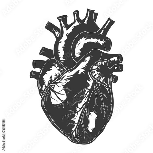 Silhouette for internal organs of heart black color only