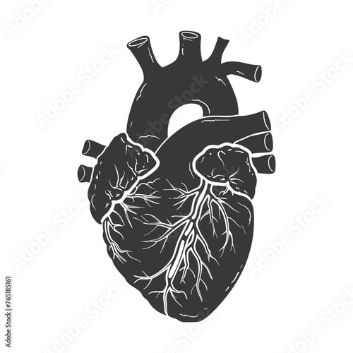 Silhouette for internal organs of heart black color only