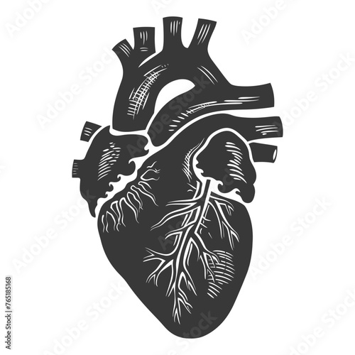 Silhouette for internal organs of heart black color only
