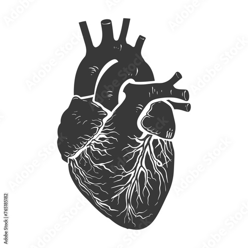 Silhouette for internal organs of heart black color only