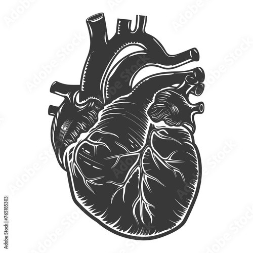 Silhouette for internal organs of heart black color only