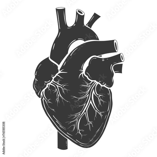 Silhouette for internal organs of heart black color only