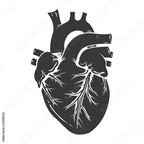 Silhouette for internal organs of heart black color only