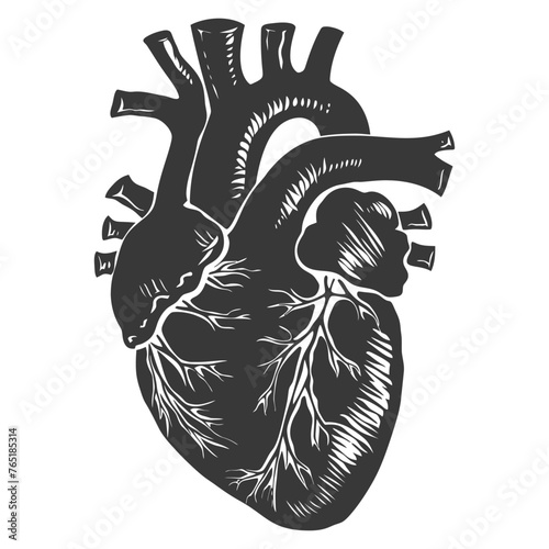 Silhouette for internal organs of heart black color only