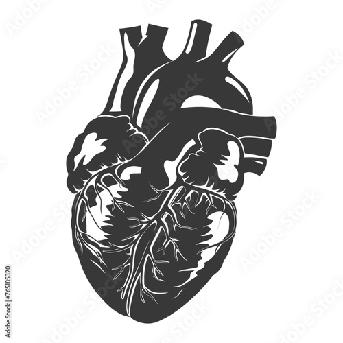 Silhouette for internal organs of heart black color only
