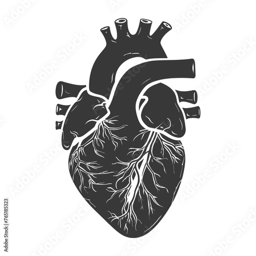 Silhouette for internal organs of heart black color only photo