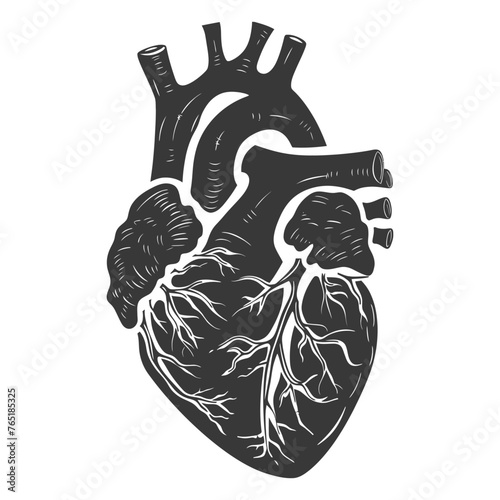 Silhouette for internal organs of heart black color only