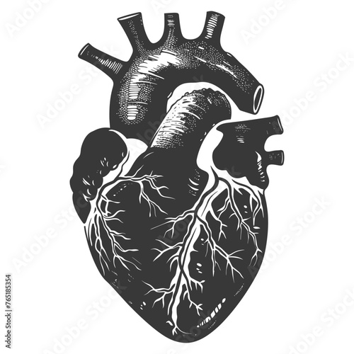Silhouette for internal organs of heart black color only