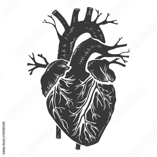 Silhouette for internal organs of heart black color only