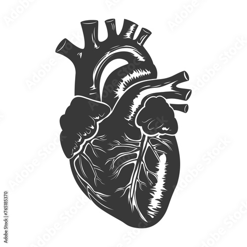 Silhouette for internal organs of heart black color only