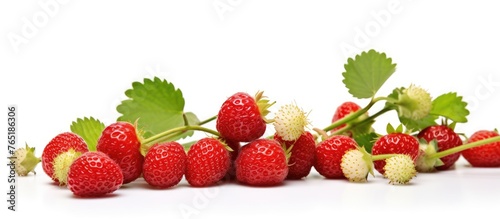 Fresh strawberries with leaves and blooms