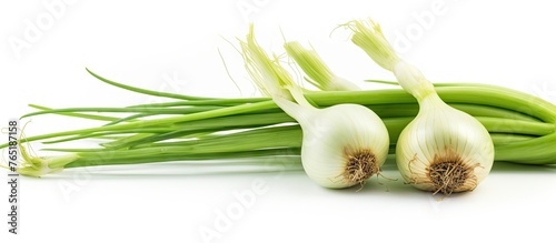 Green onions on a white surface