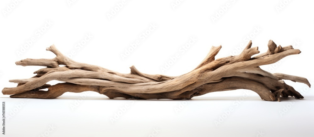 Driftwood on a white surface - obrazy, fototapety, plakaty 