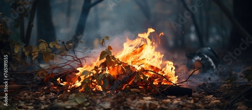 Fire blazing amidst trees in the forest
