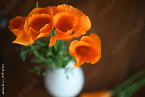 California poppy in a vase © Magalie