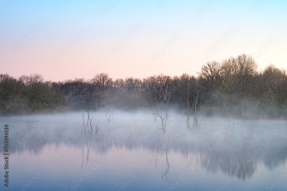 A small lake at sunrise covered with fog from the cold night. There are old dead trees in the lake. There are nice reflections in the water. 