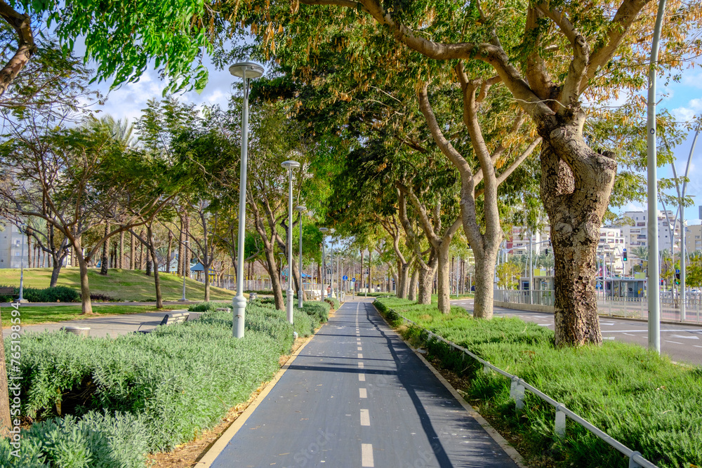 Bike lanes on Herzl Boulevard, near HaKirya Park in central Ashdod, Israel.
שבילי אופניים בשדרות הרצל, ליד גן הקריה (צפון), במרכז העיר אשדוד, ברובע הקריה (