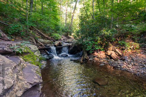 Fototapeta Naklejka Na Ścianę i Meble -  Waterfall in Dunnfield Creek Natural Area, Nature preserve in Hardwick Township, New Jersey. Part of the Delaware Water Gap National Recreation Area along the Appalachian Trail. 