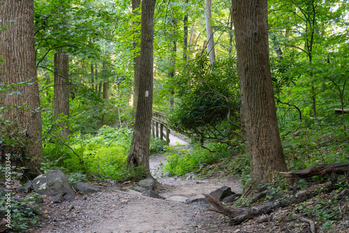 Footbridge and Appalachian Trail white blaze in Dunnfield Creek Natural Area, Nature preserve in Hardwick Township, New Jersey. Part of the Delaware Water Gap National Recreation Area. 