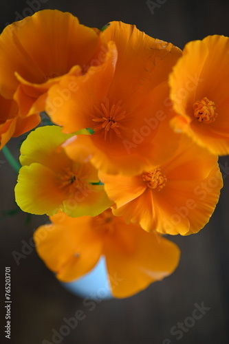 yellow and orange flower © Magalie