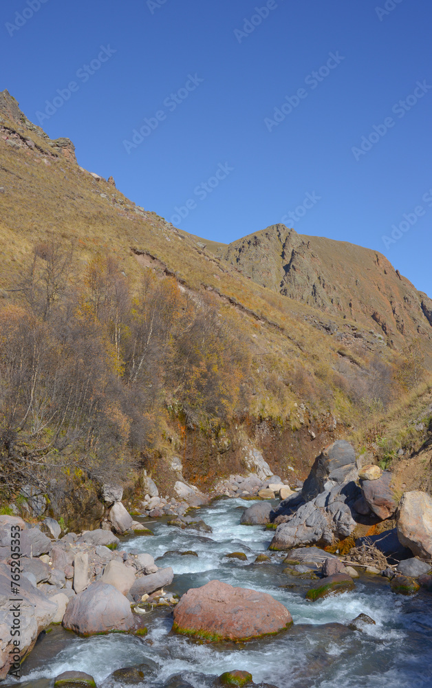Scenic view of trees and river in the mountains in autumn