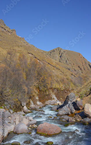 Obraz na płótnie Scenic view of trees and river in the mountains in autumn w salonie