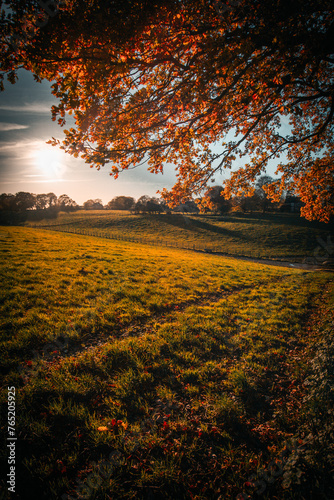Fototapeta Naklejka Na Ścianę i Meble -  autumn sunset in the countryside