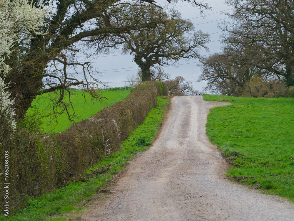 path in the countryside