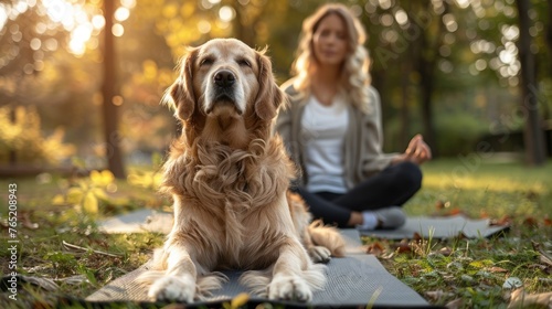 A dog practicing yoga poses alongside its owner in a serene park setting, with Canine Fitness Month mats, illustrating the concept of mental and physical well-being for pets photo